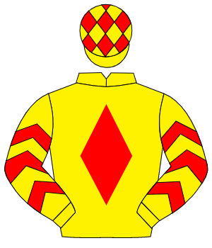 YELLOW, red diamond, red chevrons on sleeves, yellow cap, red diamonds