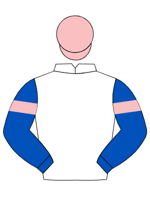 WHITE, royal blue sleeves, pink armlet, pink cap