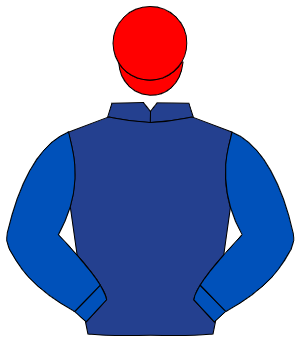 DARK BLUE, royal blue sleeves, red cap