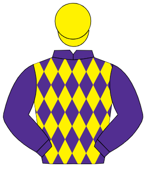 PURPLE & YELLOW DIAMONDS, purple sleeves, yellow cap