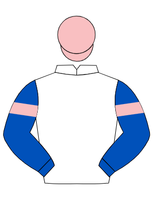 WHITE, royal blue sleeves, pink armlets, pink cap