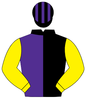 BLACK & PURPLE HALVED, yellow sleeves, black & purple striped cap