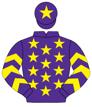 PURPLE, yellow stars, yellow chevrons on sleeves, yellow star on cap