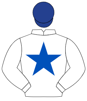 WHITE, royal blue star, dark blue cap