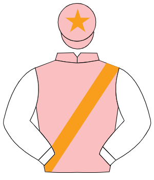 PINK, orange sash, white sleeves, pink cap, orange star