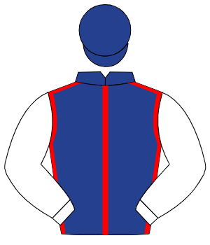 DARK BLUE, red seams, white sleeves, dark blue cap
