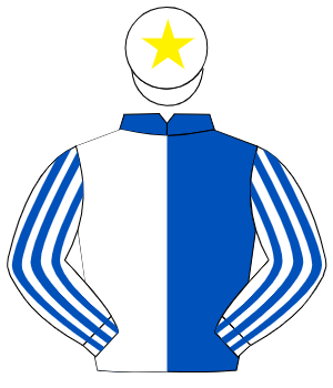 ROYAL BLUE & WHITE HALVED, white & royal blue striped sleeves, white cap, yellow star