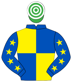ROYAL BLUE & YELLOW QUARTERED, yellow stars on sleeves, emerald green & white hooped cap
