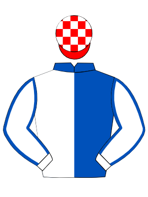ROYAL BLUE & WHITE (HALVED), white sleeves, royal blue seams, red & white check cap