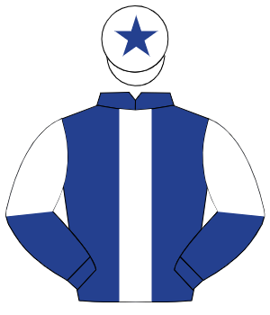 DARK BLUE, white panel, halved sleeves, white cap, dark blue star
