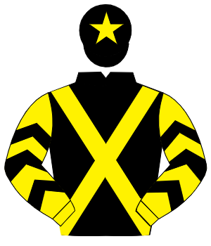 BLACK, yellow cross sashes, yellow sleeves, black chevrons, black cap, yellow star