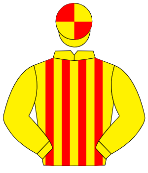 YELLOW & RED STRIPES, yellow sleeves, quartered cap