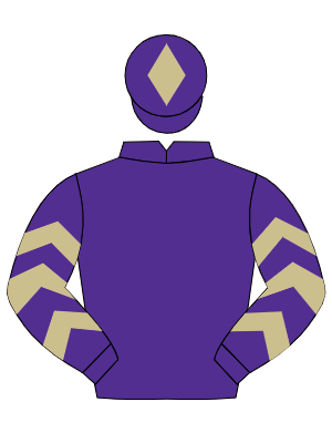 PURPLE, beige and purple chevrons on sleeves, purple cap, beige diamond