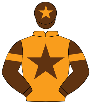 ORANGE, brown star, brown sleeves, orange armlet, brown cap, orange star