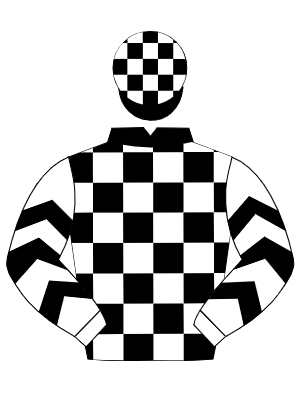 BLACK & WHITE CHECK, white & black chevrons on sleeves, check cap