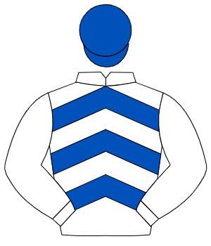 WHITE & ROYAL BLUE CHEVRONS, white sleeves, royal blue cap
