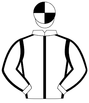 WHITE, black seams, quartered cap