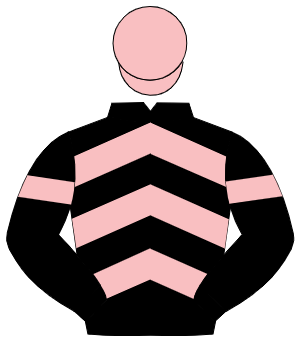 BLACK & PINK CHEVRONS, pink armlet, pink cap