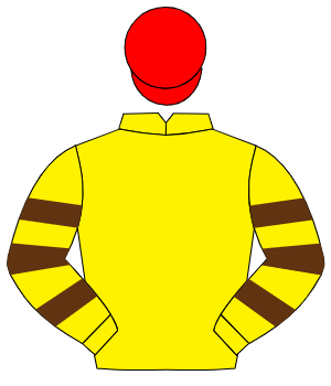 YELLOW, yellow & brown hooped sleeves, red cap